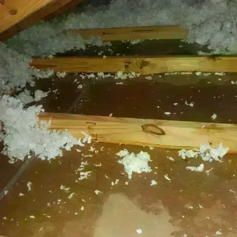 Attic Water Damage in Cutler Ridge, FL