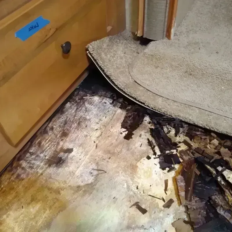 Best Wood Floor Water Damage Service in Cutler Ridge, FL